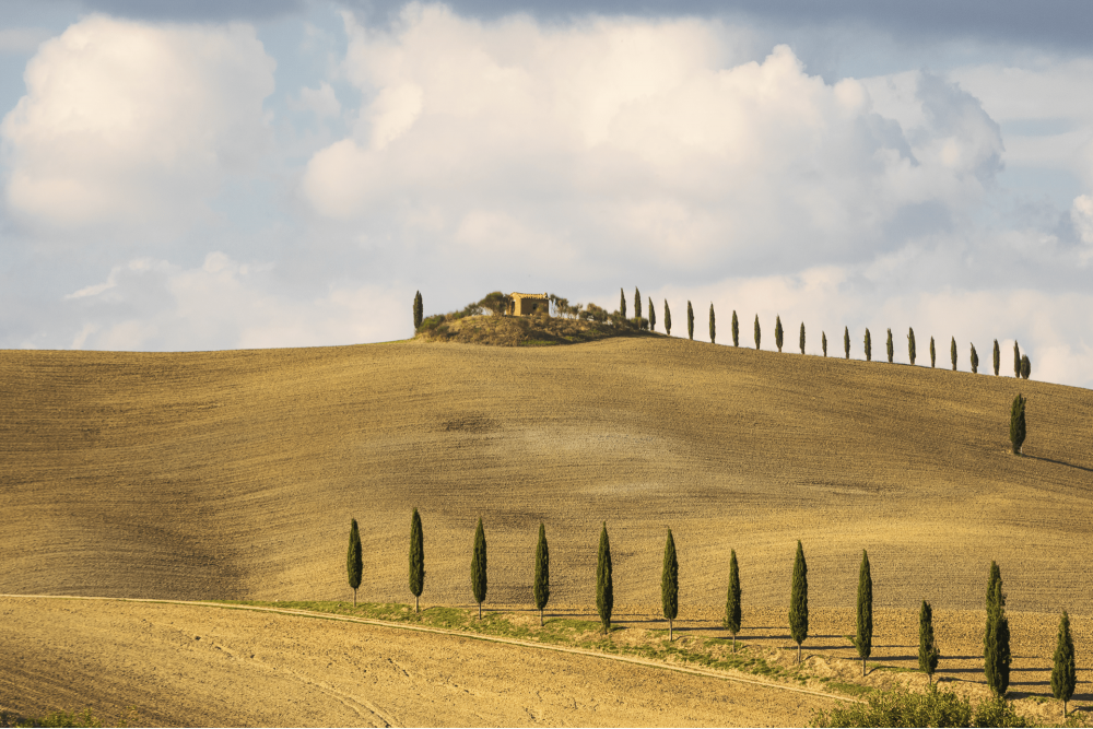 Panorama delle colline